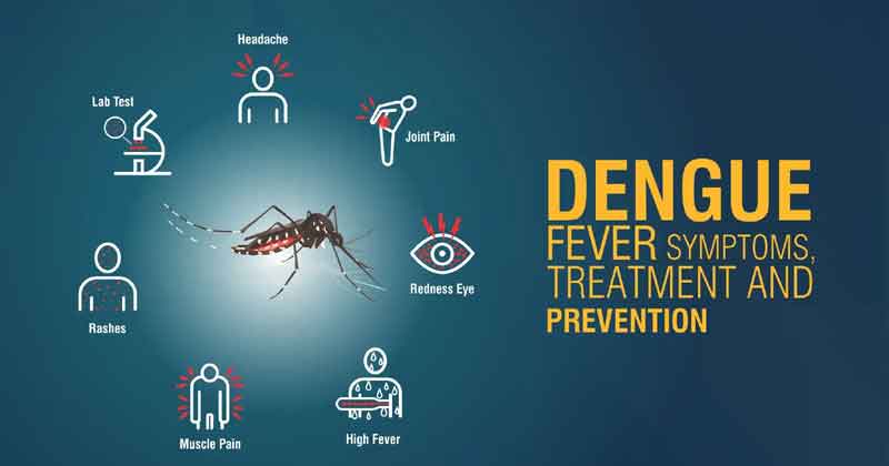 Dengue Fever: Symptoms and Treatment class=
